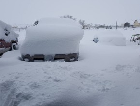 Our Drive way at TMS HQ